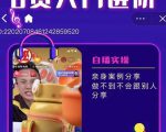 朱白板抖音带货进阶课,实操运营+主播不玩虚的-沐风资源库