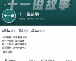 十一说故事·故事性中视频，观众快速共鸣从而快速变现的中视频玩法-沐风资源库