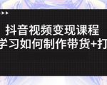 抖音短视频变现课程：带你学习如何制作带货+打造IP【41节】-沐风资源库
