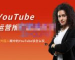 外国人眼中的YouTube该怎么玩？Elisa·YouTube运营推广实战技巧-沐风资源库