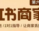 贾真-小红书商家营第6期商家版，21天带货陪跑课，让商家丢掉付流量-沐风资源库