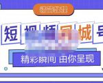 大东·短视频同城号教程，包括搭建思路，版面制作，文案内容，剪辑操作等-沐风资源库