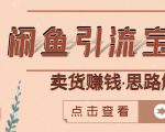 闲鱼引流宝妈粉+卖货赚钱一个月收益30000+（实操视频教程）-沐风资源库