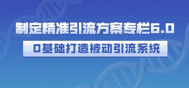 制定精准引流方案专栏6.0,0基础打造被动引流系统-沐风资源库