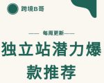 【跨境B哥】独立站潜力爆款选品推荐，测款出单率高达百分之80-沐风资源库