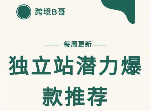 【跨境B哥】独立站潜力爆款选品推荐，测款出单率高达百分之80-沐风资源库