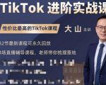 大山老师TikTok进阶实战课：账号详解，流量运营，实战变现，助力你成功出海-沐风资源库