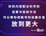 张sir账号流量增长课，告别海王流量，让你的流量更精准-沐风资源库