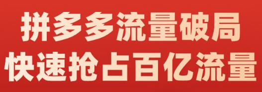 阿杰·拼多多流量破局:如何打黑标，爆款的思路，拼多多流量框架，快速抢占百亿流量-沐风资源库
