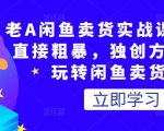 老A闲鱼卖货实战课，简单直接粗暴，独创方法带你玩转闲鱼卖货！-沐风资源库