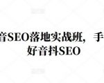 王通·抖音SEO落地实战班，手‬手带你做好音抖‬‬SEO-沐风资源库