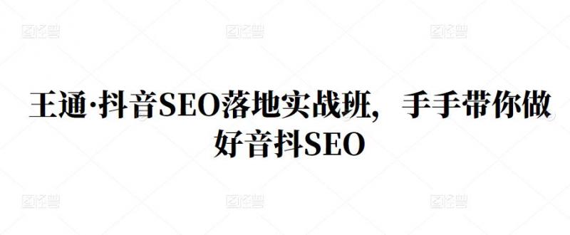 王通·抖音SEO落地实战班，手‬手带你做好音抖‬‬SEO-沐风资源库