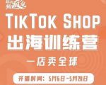 疯人院:TikTok Shop出海训练营（一店卖全球)，出海抢占全球新流量-沐风资源库