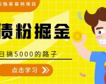 全网2022独家暴利项目，负债粉掘金，日搞5000的路子-沐风资源库