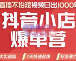 推易电商·2022年抖音小店爆单营，不直播、不拍短视频、日出1000单，暴力玩法-沐风资源库