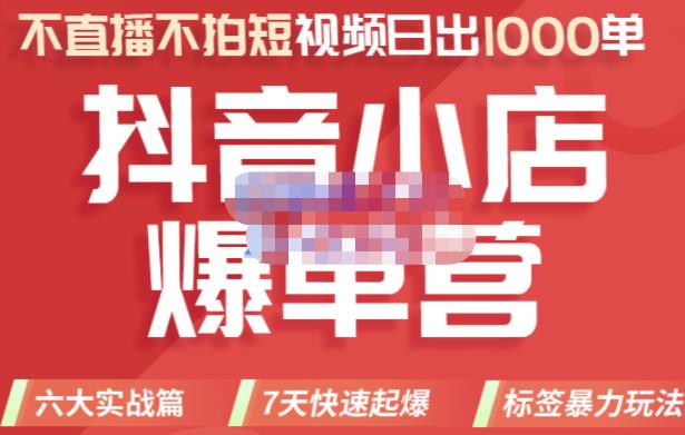 推易电商·2022年抖音小店爆单营，不直播、不拍短视频、日出1000单，暴力玩法-沐风资源库