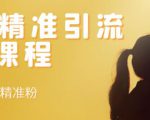 soul精准引流系列课程，每天引流100精准粉-沐风资源库