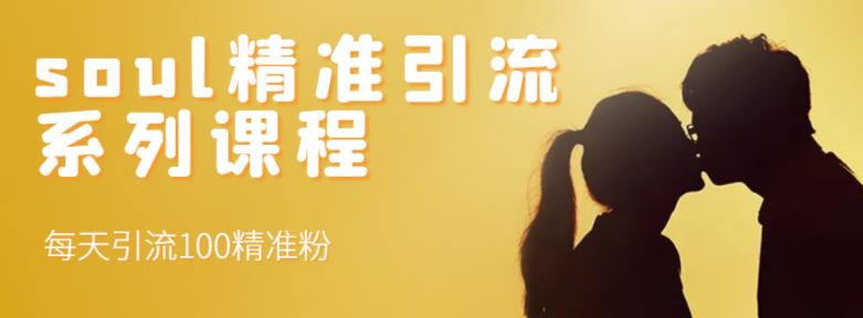 soul精准引流系列课程，每天引流100精准粉-沐风资源库