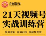张萌21天视频号实战训练营，裂变涨粉、内容创作、视频号变现 价值298元-沐风资源库