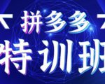 星雪教育·拼多多基础班+进阶班+突破班，用系统的学习模式快速改变现状价值3580元-沐风资源库