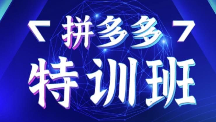 星雪教育·拼多多基础班+进阶班+突破班，用系统的学习模式快速改变现状价值3580元-沐风资源库