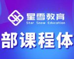 星雪教育淘系高级班，更全的运营提升方案，零基础由浅入深，店铺最新玩法-沐风资源库