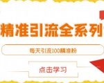 闲鱼精准引流全系列课程，每天引流100精准粉【视频课程】-沐风资源库