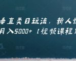 虚拟项目垂直类目玩法，新人快速起店，月入5000+【视频课程】-沐风资源库