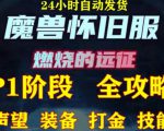 最新美服-怀旧服魔兽搬砖攻略，练级声望装备打金副本技能赚钱攻略-沐风资源库