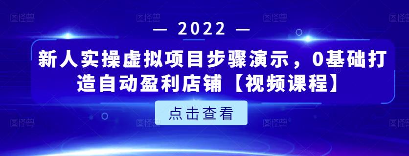 新人实操虚拟项目步骤演示，0基础打造自动盈利店铺【视频课程】-沐风资源库