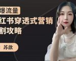 苏歆：小红书穿透式营销收割攻略，引爆流量，助你玩转小红书-沐风资源库