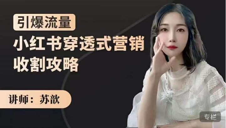 苏歆：小红书穿透式营销收割攻略，引爆流量，助你玩转小红书-沐风资源库
