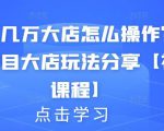 月入几万大店怎么操作？虚拟项目大店玩法分享【视频课程】-沐风资源库