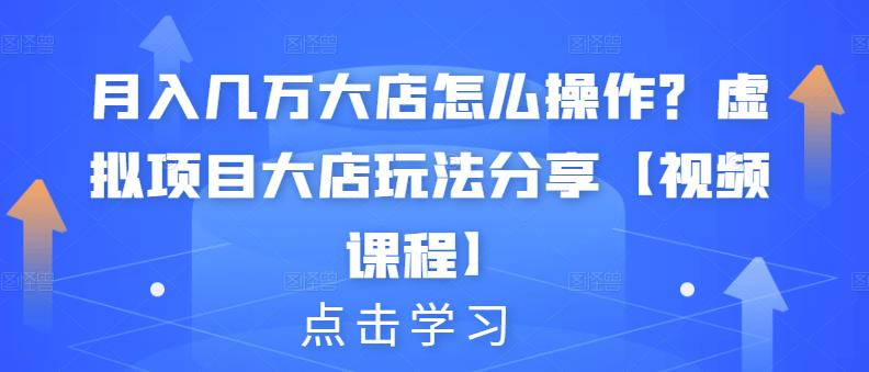 月入几万大店怎么操作？虚拟项目大店玩法分享【视频课程】-沐风资源库