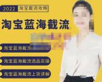 2022淘宝蓝海截流攻略，淘宝蓝海截流选品上货实操讲解-沐风资源库
