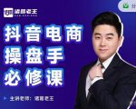 诸葛老王-抖音电商操盘手必修课：顶层设计，​起号破局，爆款运营，数据分析-沐风资源库