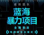 引流哥蓝海暴力躺赚项目：无需发圈无需引流无需售后，每单赚50-500（教程+线报群)-沐风资源库