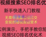 宋老师·短视频搜索SEO优化，教你10分钟创作一个短视频，三天排名上第一-沐风资源库