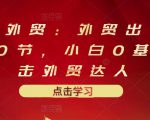 业仔外贸：外贸出口详解30节，小白0基础进击外贸达人 价值666元-沐风资源库