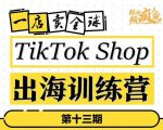 TikTokShop出海训练营(第十三期),打开全球流量新思维,出海抢占全球新流量,一店卖全球-沐风资源库