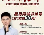 星哥同城教育书单号课程，无需出境简单操作项目稳定-沐风资源库