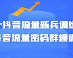 Peter抖音流量新兵训练营-破解抖音流量密码群爆训练营（新兵）-沐风资源库