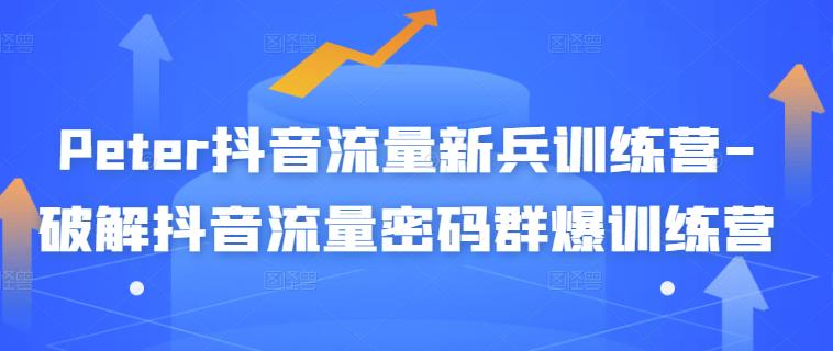 Peter抖音流量新兵训练营-破解抖音流量密码群爆训练营（新兵）-沐风资源库
