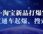 凌童·淘宝新品打爆实战班，直通车起爆、搜索起爆-沐风资源库