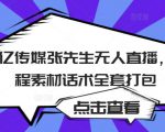 聚亿传媒张先生无人直播，教程素材话术全套打包-沐风资源库