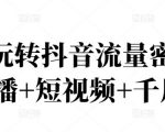 2022玩转抖音流量密码，(直播+短视频+千川)-沐风资源库