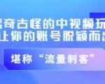不讲李·稀奇古怪的冷门中视频冷门玩法，让你的账号脱颖而出，成为流量刺客！（图文+视频）-沐风资源库