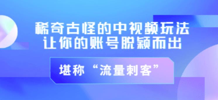 不讲李·稀奇古怪的冷门中视频冷门玩法，让你的账号脱颖而出，成为流量刺客！（图文+视频）-沐风资源库