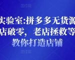 野路子实验室:拼多多无货源店群项目，新店破零，老店拯救等全方位教你打造店铺-沐风资源库