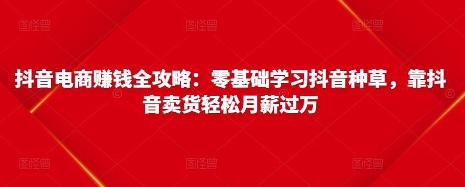 抖音电商赚钱全攻略：零基础学习抖音种草，靠抖音卖货轻松月薪过万-沐风资源库